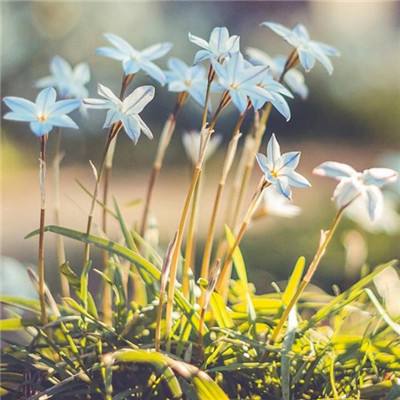 江南官方全站app下载