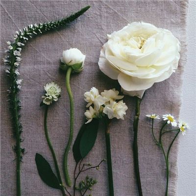 金沙澳门场娱网址