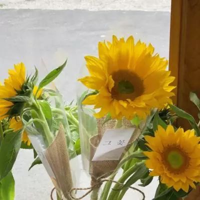 押注篮球的app手机app下载