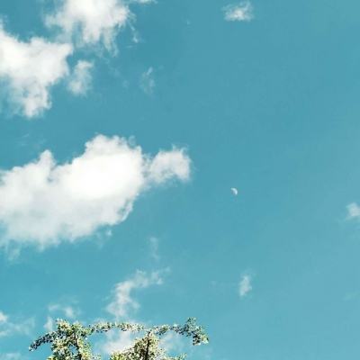 太阳集团电子游戏